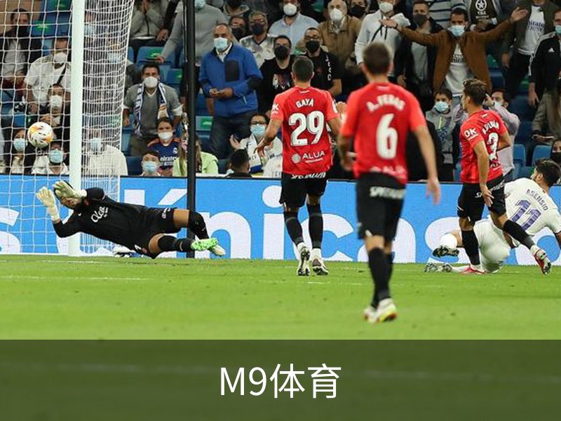 关于M9体育